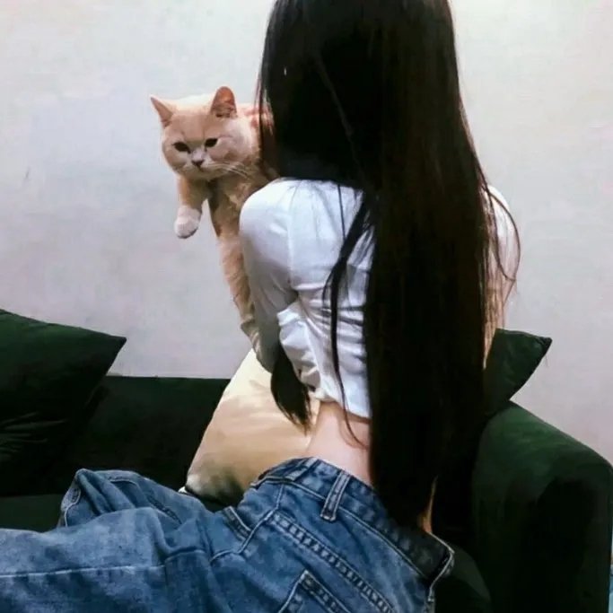 上海女子图鉴